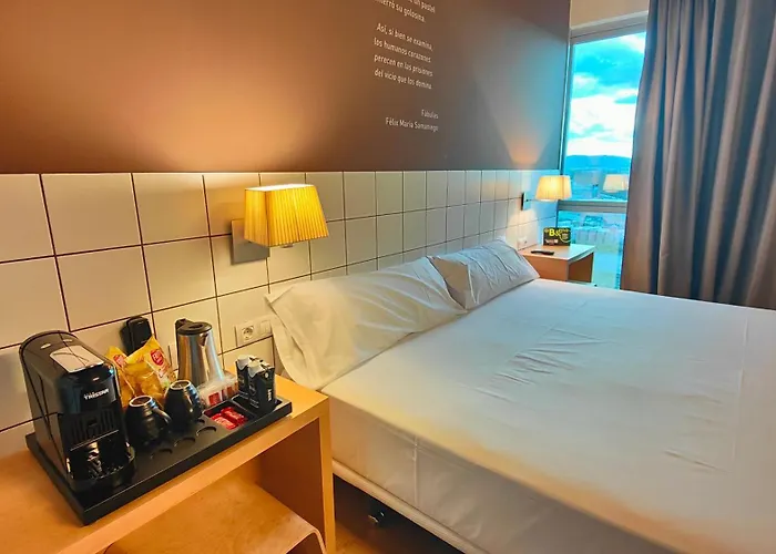 Отель Miranda De Ebro 3*